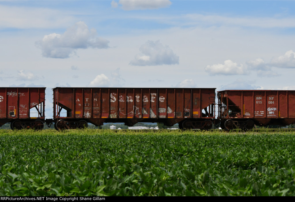 ATSF 81731